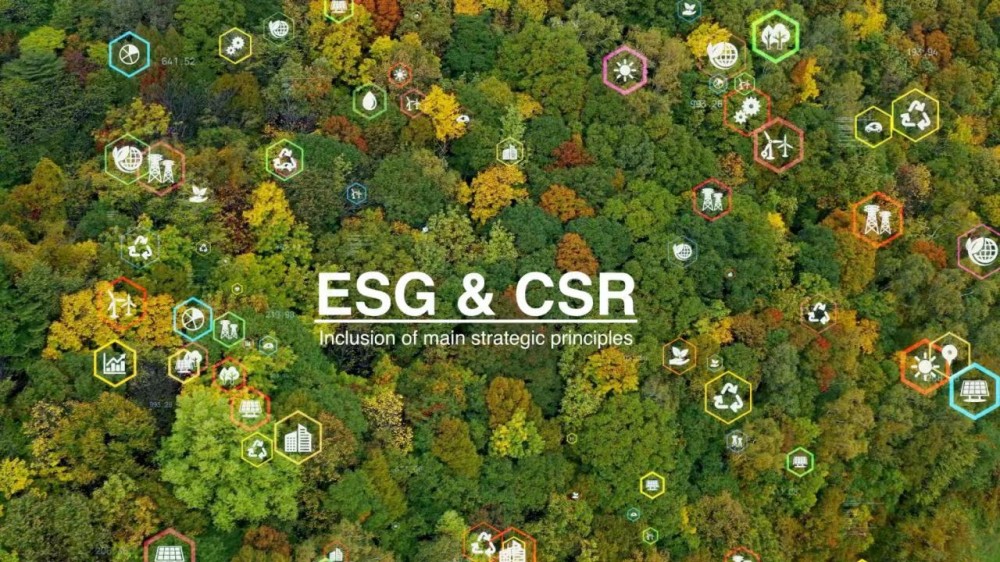 ESG-3.jpg
